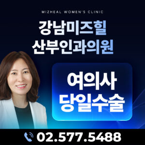 여의사 당일수술