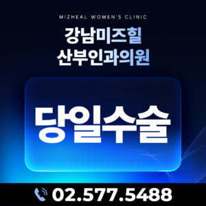 당일수술